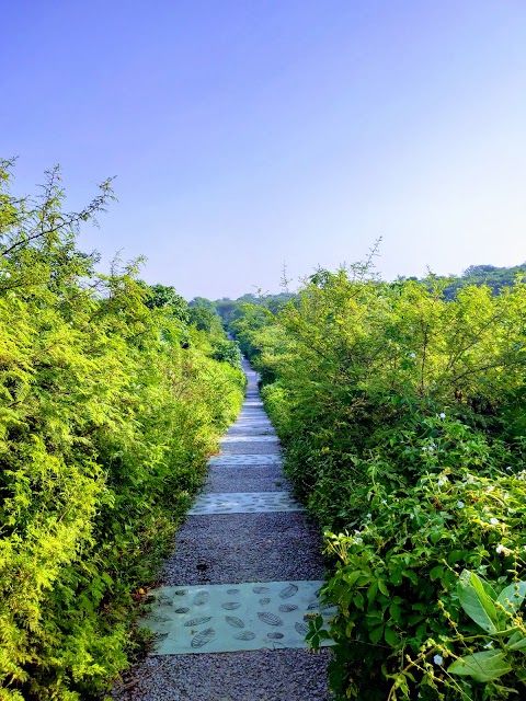 Aravalli Bio Diversity Park